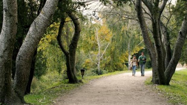 Senda peatonal en el entorno del Lagares