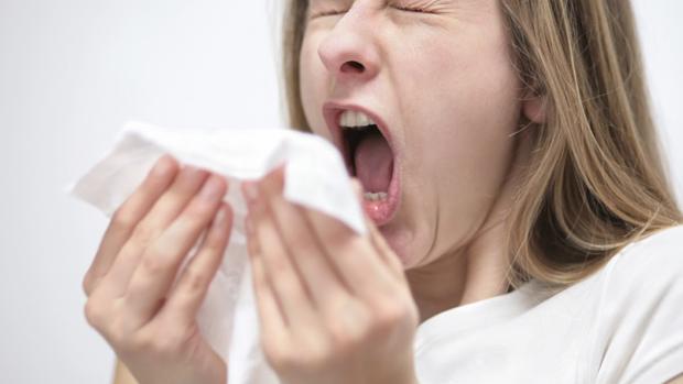 El año pasado, la epidemia de gripe se prolongó en Aragón durante casi tres meses