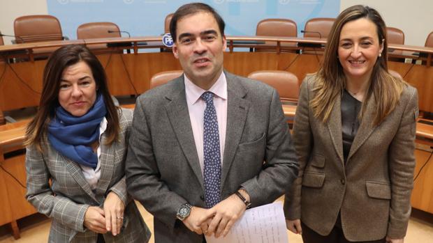 Los diputados del PP Marián Ferreiro, Alberto Pazos y Teresa Egerique