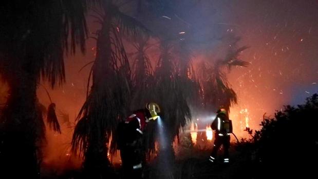 Tareas de extinción del fuego en el palmeral de Elche, este martes