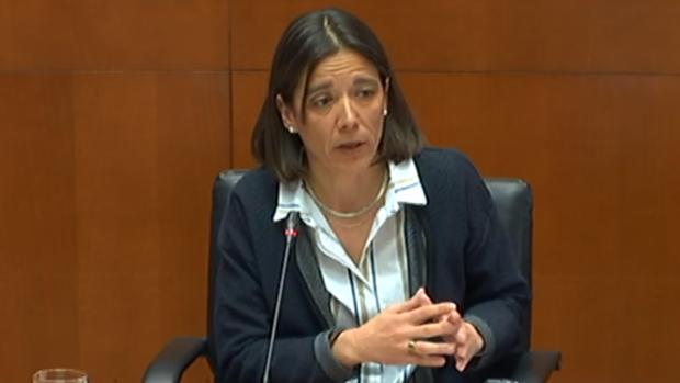La interventora del Gobierno aragonés, Ana Gómez, durante su comparecencia en las Cortes regionales