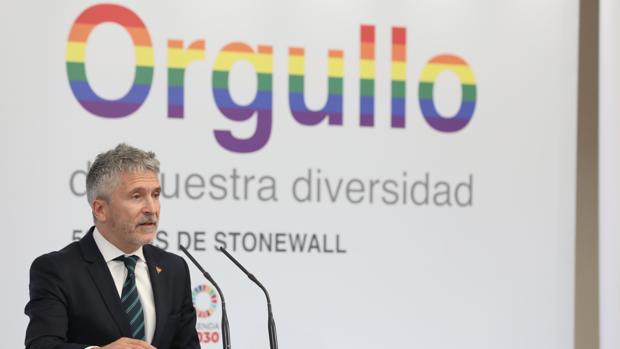 Fernando Grande-Marlaska, ministro del Interior