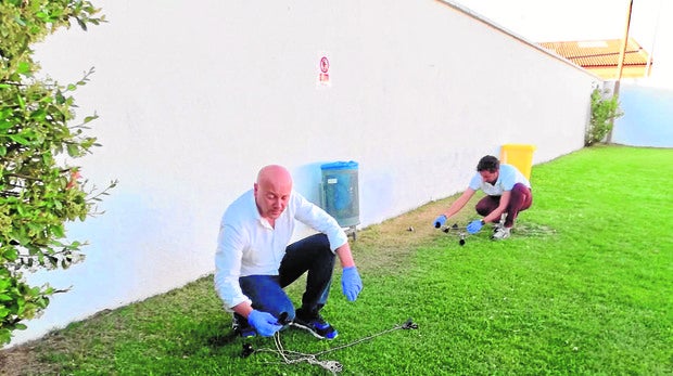 El alcalde de Paredes de Nava, Luis Calderón, coloca trampas cada noche para acabar con los topillos