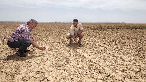 La sequía ataca de nuevo a Castilla y León, como ya ocurrió en 2017