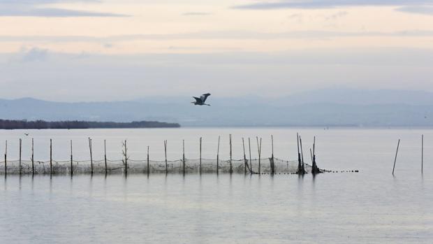 Imagen de archivo del Parque Natural de la Albufera en Valencia