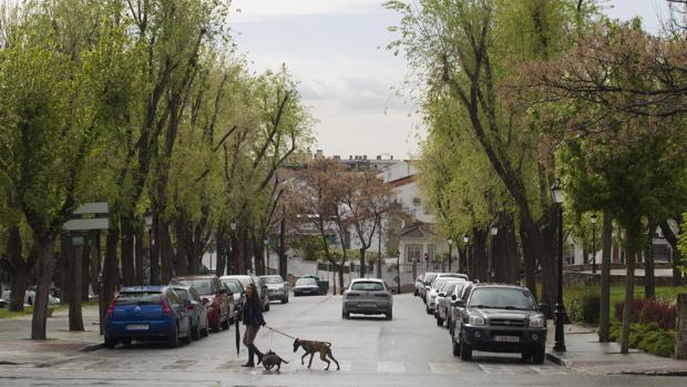 Vista del paseo de Boadilla, en Brunete (Madrid)