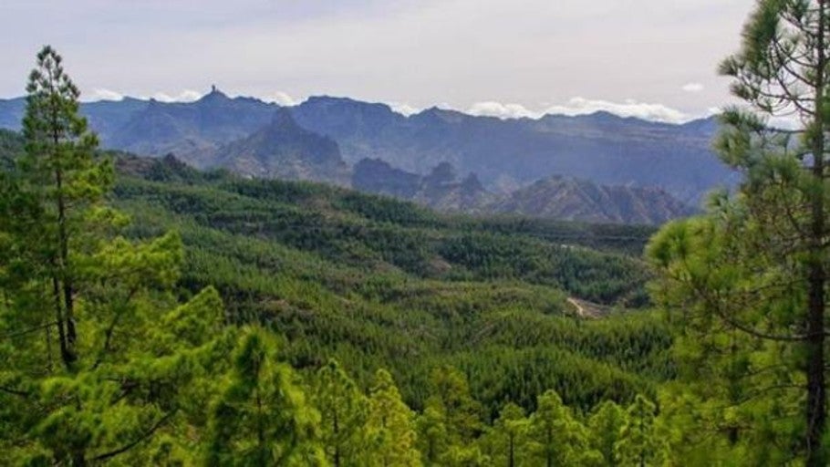 El fuego se ceba con la joya natural de Canarias