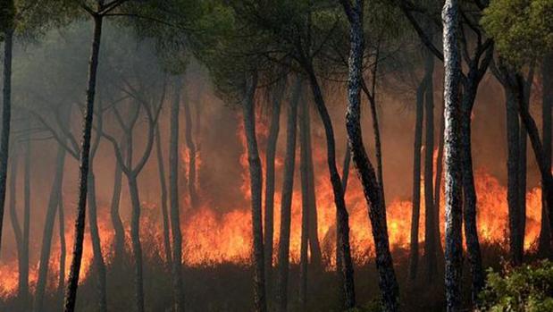 Un incendio en una imagen de archivo