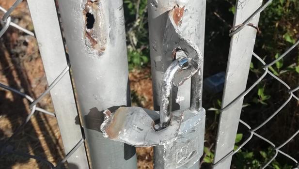Un candado destrozado por los vándalos en una de las vallas del Mas de Gormaget