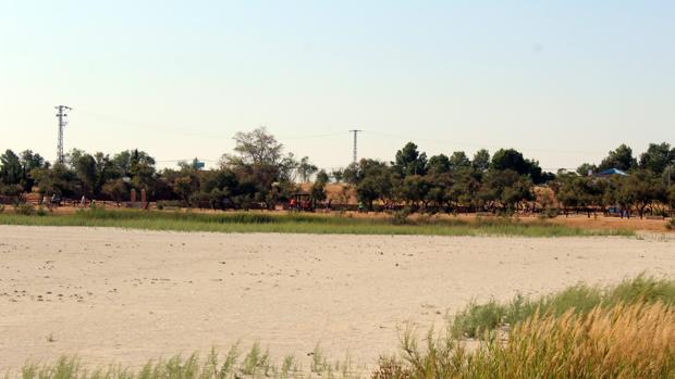 Estado en el que han quedado las lagunas de Villafranca de los Caballeros