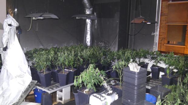 Imagen del interior del piso, facilitada por la Policía Nacional