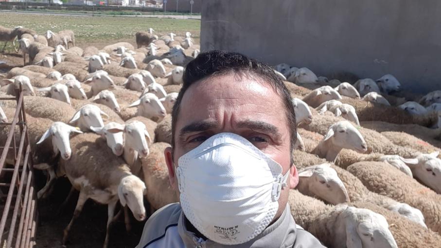 La Ganaderia Ovina De Castilla La Mancha Se Prepara Para Recibir El Golpe Del Coronavirus