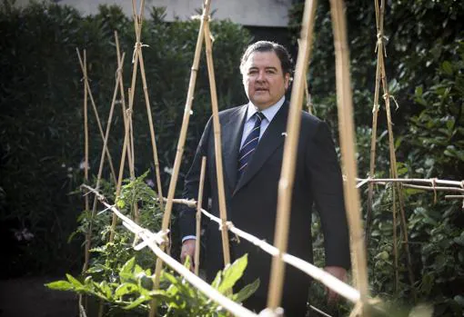 Uno de los hobbies del embajador es el cultivo de tomates, como hace gala en el mismo jardín de la Embajada de EE.UU., en pleno paseo de la Castellana