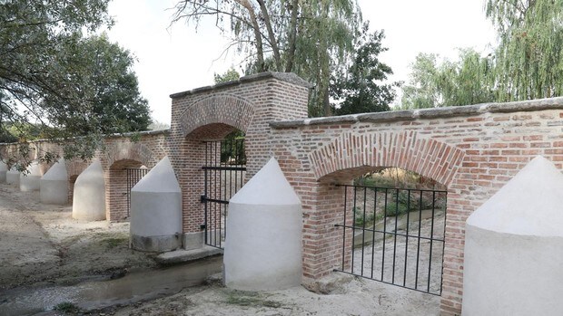 Finaliza la restauración del muro histórico de la Casa de