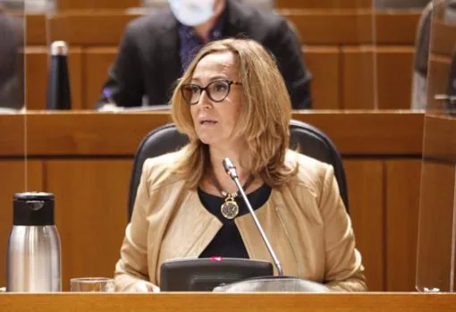La consejera aragonesa de Presidencia, Maye Pérez (PSOE), ha sido nombrada vicepresidenta en funciones y, por tanto, también suple, en la práctica, la baja de Lambán