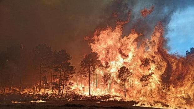 Mil Hectareas Quemadas En Un Incendio Descontrolado En Tarragona