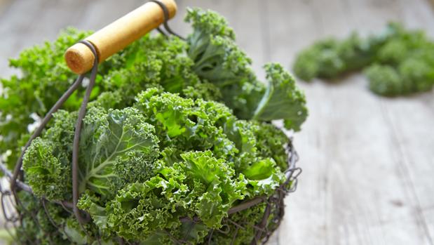 Kale beneficios y propiedades