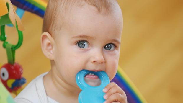 Los primeros dientes suelen salir entre los cuatro y los cinco meses.