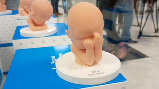 Modelo de una de las impresiones realizadas en silicona flexible