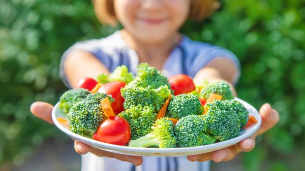 dieta vegetariana en niños pequeños