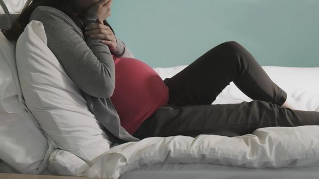 La salud mental materna altera la estructura y la bioquímica del cerebro fetal