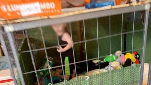 Rescatan a un niño de 18 meses que vivía en una jaula rodeado de más de 600 animales en EE.UU.