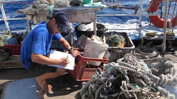 El tamaño de los plásticos hallados varía, aunque en todas las muestras se han detectado microplásticos