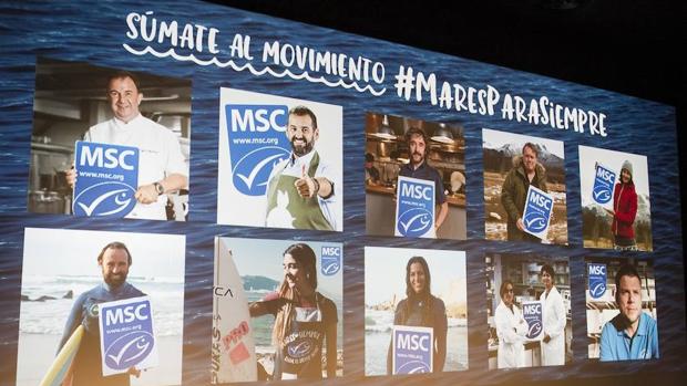 Cada año nuevos embajadores se suman a la campaña MSC por la pesca sostenible