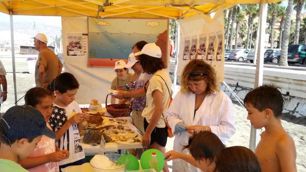 Laboratorio Marino Itinerante, educación ambiental para el verano