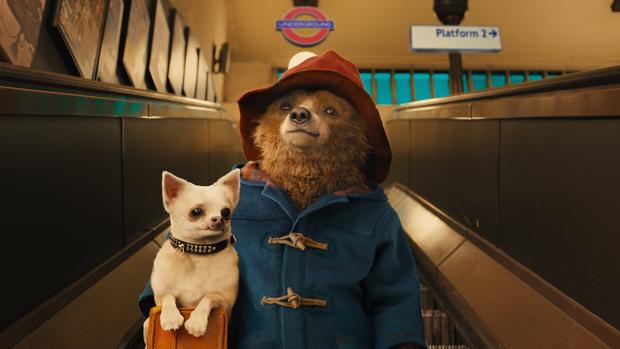 El oso Paddington ha logrado un récord sin precedentes