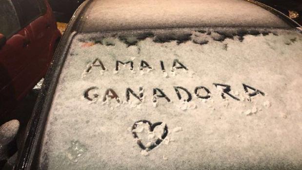 Imagen de un tuit que pedía la victoria de Amaia en OT 2017
