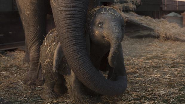 Escena de Dumbo, de Tim Burton