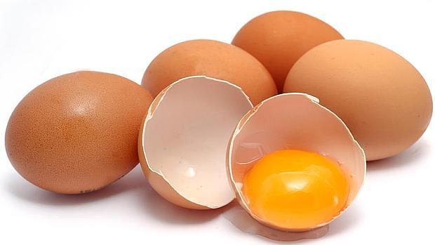 Los Sintomas De Salmonelosis Aparecen Entre Las Ocho Y Las 24 Horas Tras Ingerir El Alimento Contaminado Los Sintomas De Salmonelosis Aparecen Entre Las Ocho Y Las 24 Horas Tras Ingerir El Alimento Contaminado