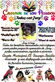 Cartel del carnaval perruno