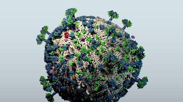 Virus del sida