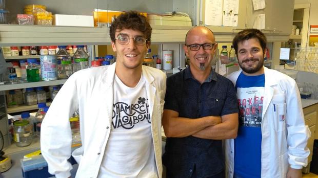 Los autores de la investigación
