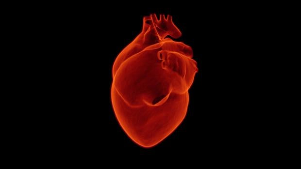 La cardiopatía isquémica es la principal causa de muerte en mujeres y hombres