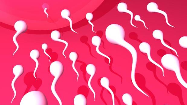 La exposición a la contaminación deteriora la función testicular