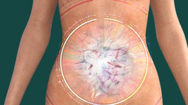 Miles de microorganismos viven en nuestro cuerpo