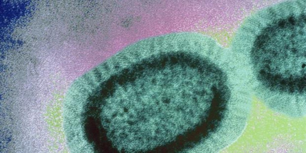 Advierten que un fármaco para la gripe convierte al virus en resistente