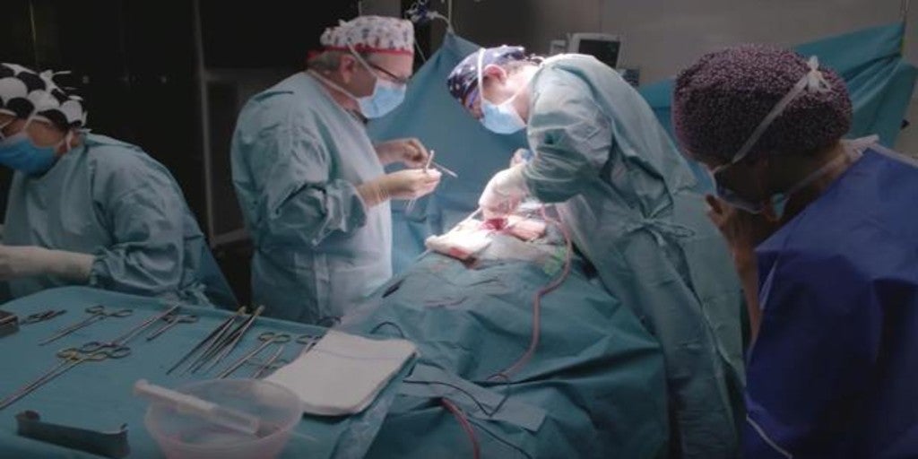 Un hospital realiza un trasplante de hígado a un paciente equivocado