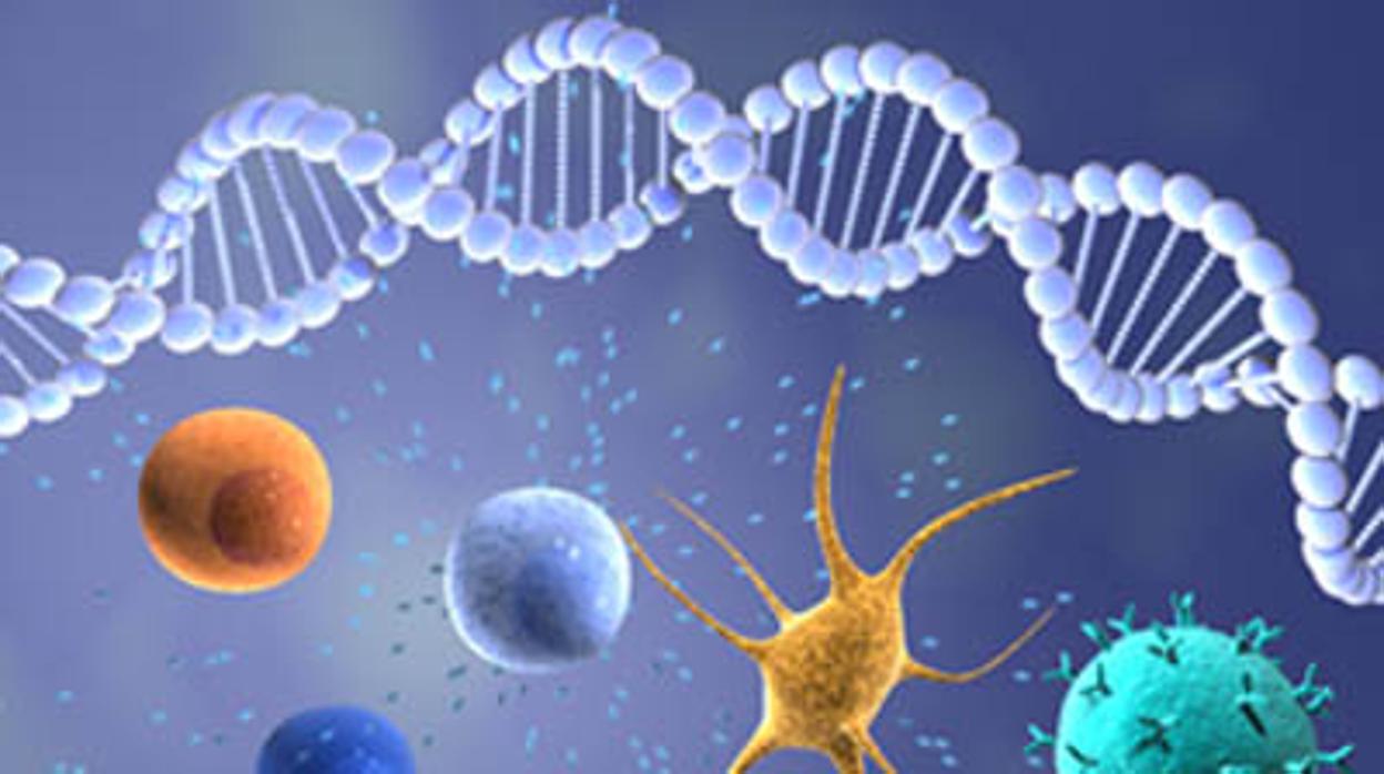 Una combinación de anticuerpos produce una mejora en la inmunoterapia contra el cáncer