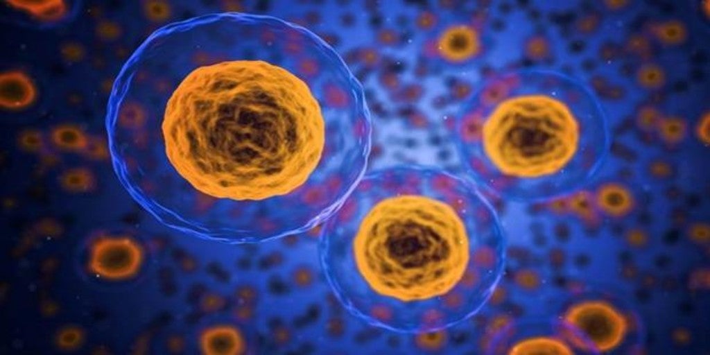 Microdispositivos que distinguen las células tumorales de las sanas
