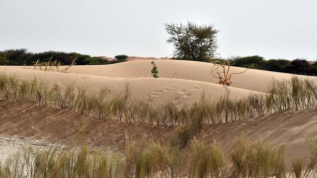 Fotografía tomada en las afueras de Diffa, en Níger, país que ha sufrido inundaciones, sequías y hambrunas recientemente