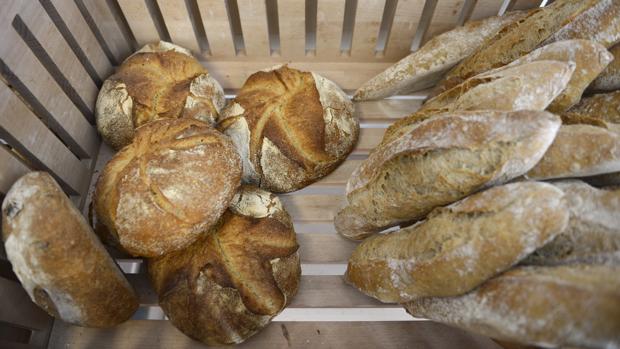 Cual es el mejor pan de molde