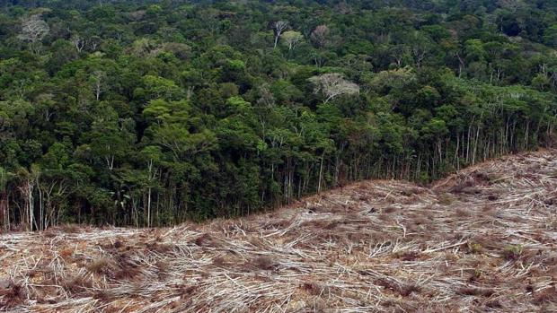 Deforestación de la Amazonia