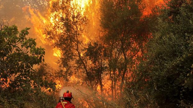 Por Que El Fuego Del Algarve Se Propaga Desde Hace Seis Dias