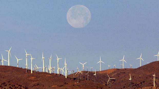 Campo eólico en el desierto del California