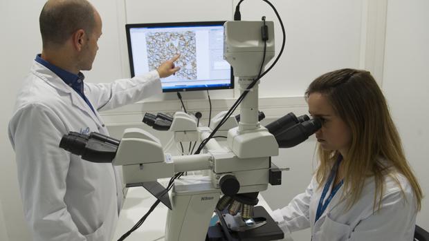La investigación avanza para buscar nuevos tratamientos contra el cáncer