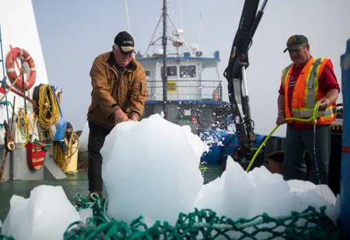 Resultado de imagen para caza icebergs agua